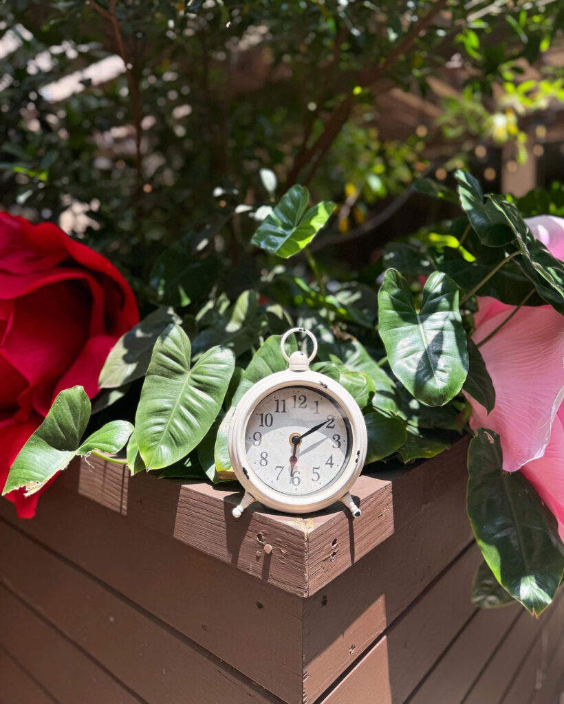 Photo of decor at Mad Hatter Brunch at Isabelle's Coconut Grove